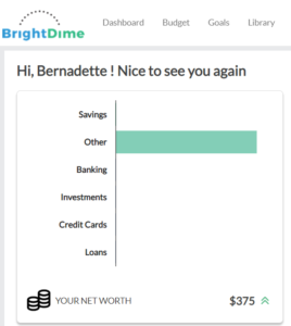 brightdime-net-worth
